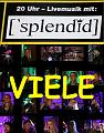 A SPLENDID VIELE